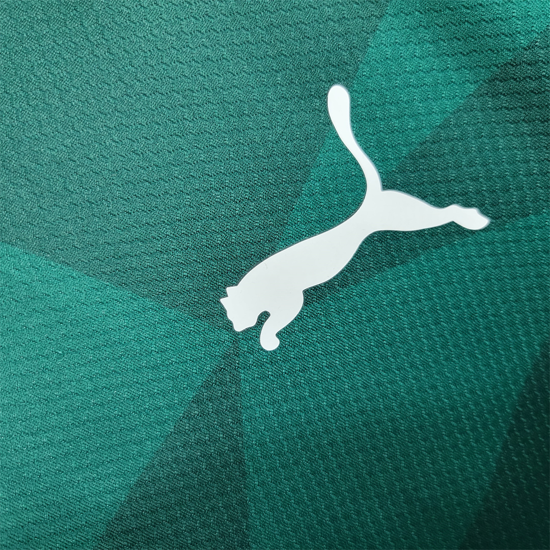 Palmeiras 2023 Home Stadium Jersey - Fans Version