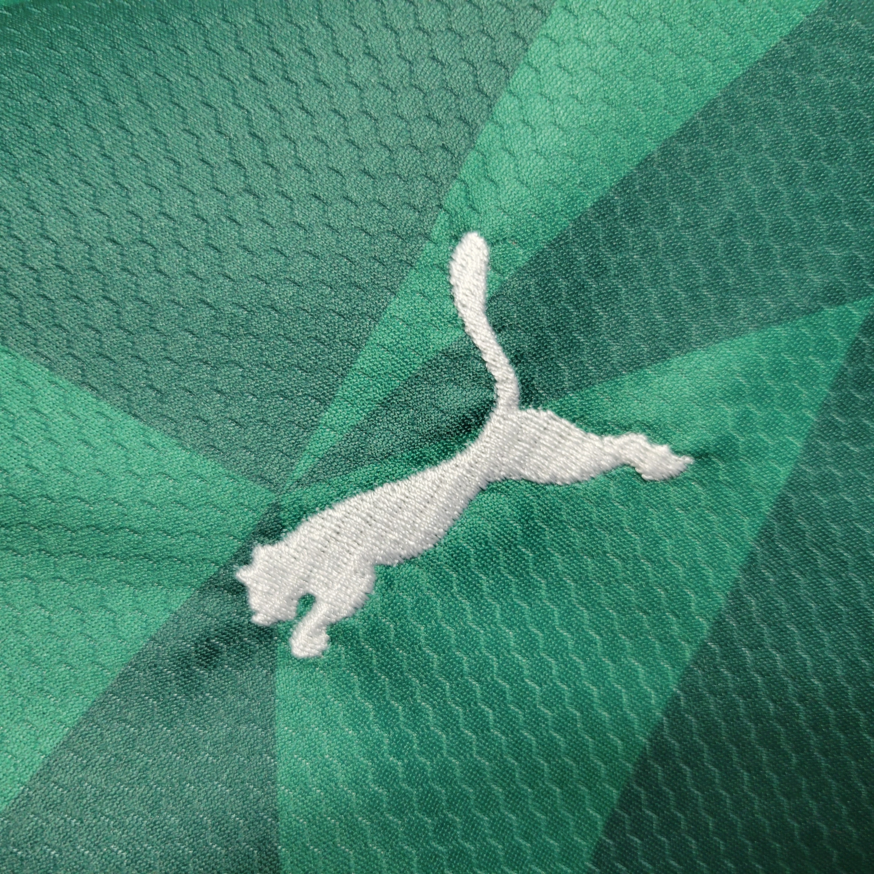 Palmeiras 2023 Home Stadium Kids Kit