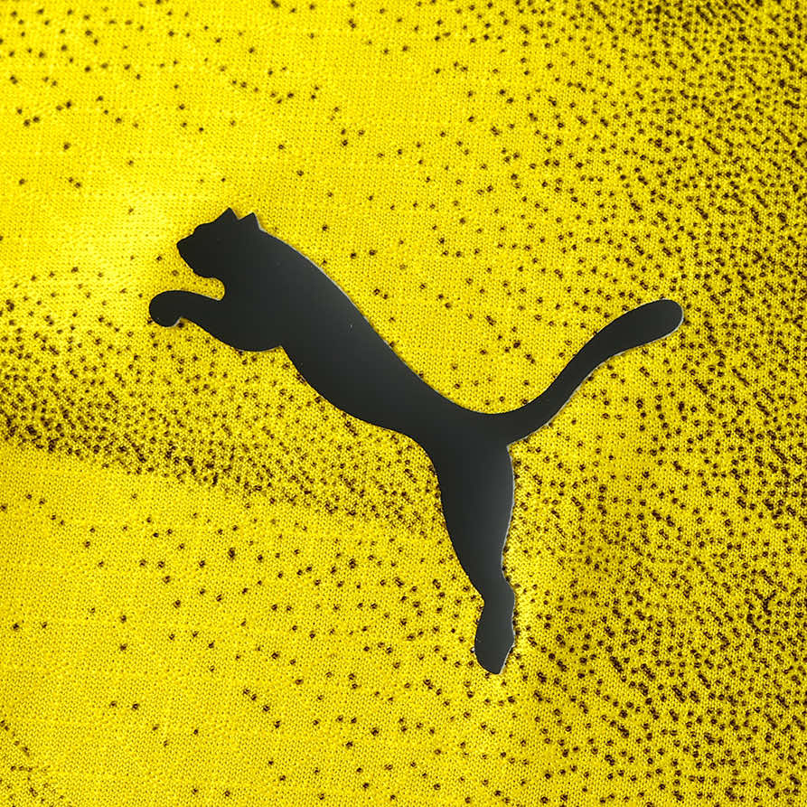 BVB Dortmund 23-24 Cup Jersey - Player Version