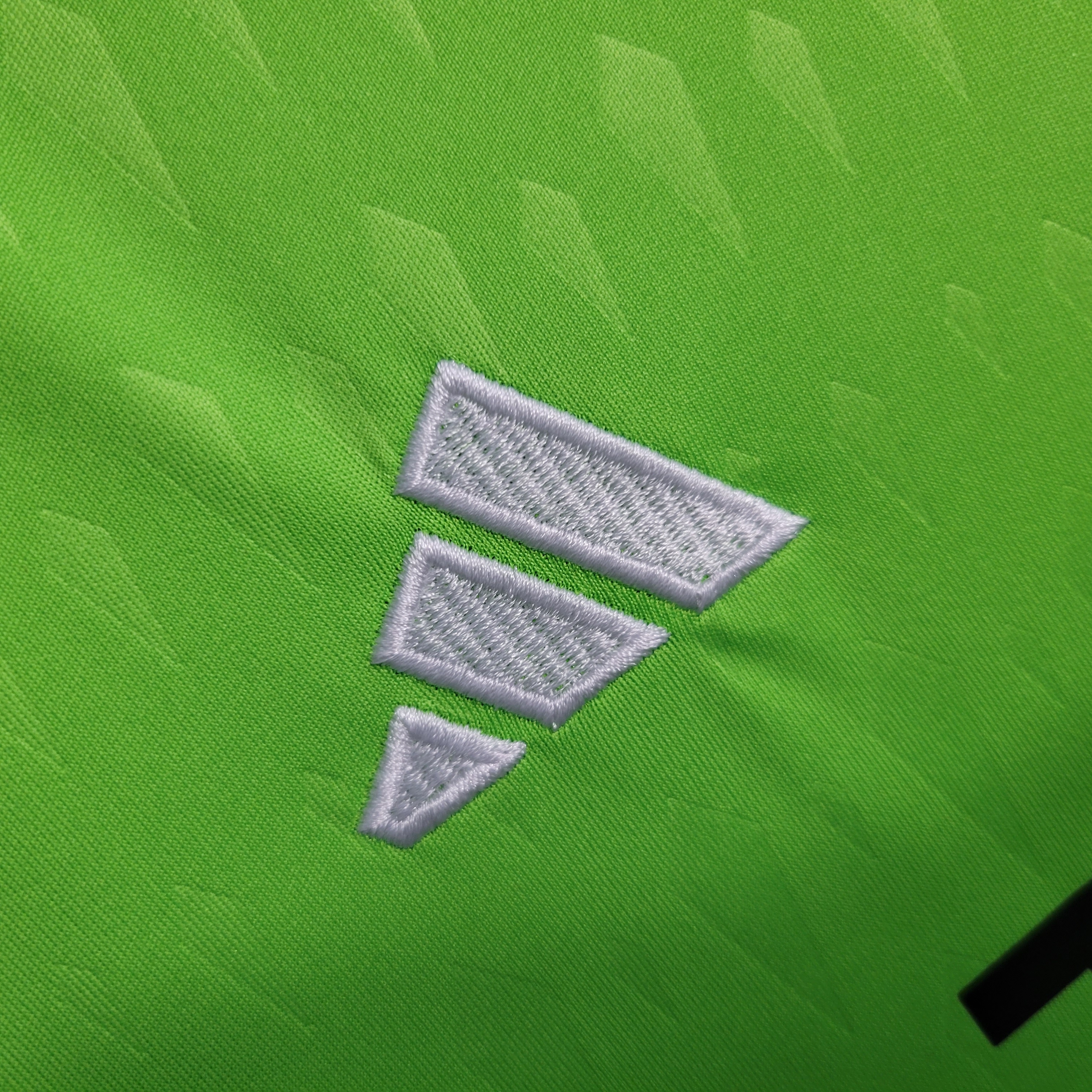 Manchester United 23-24 Green Goalkeeper Jersey - Fans Version