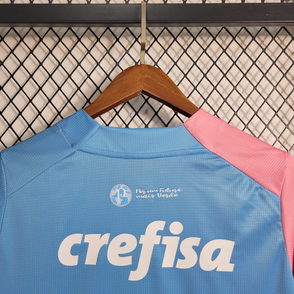 Palmeiras 2023 Special Edition Jersey - Fans Version