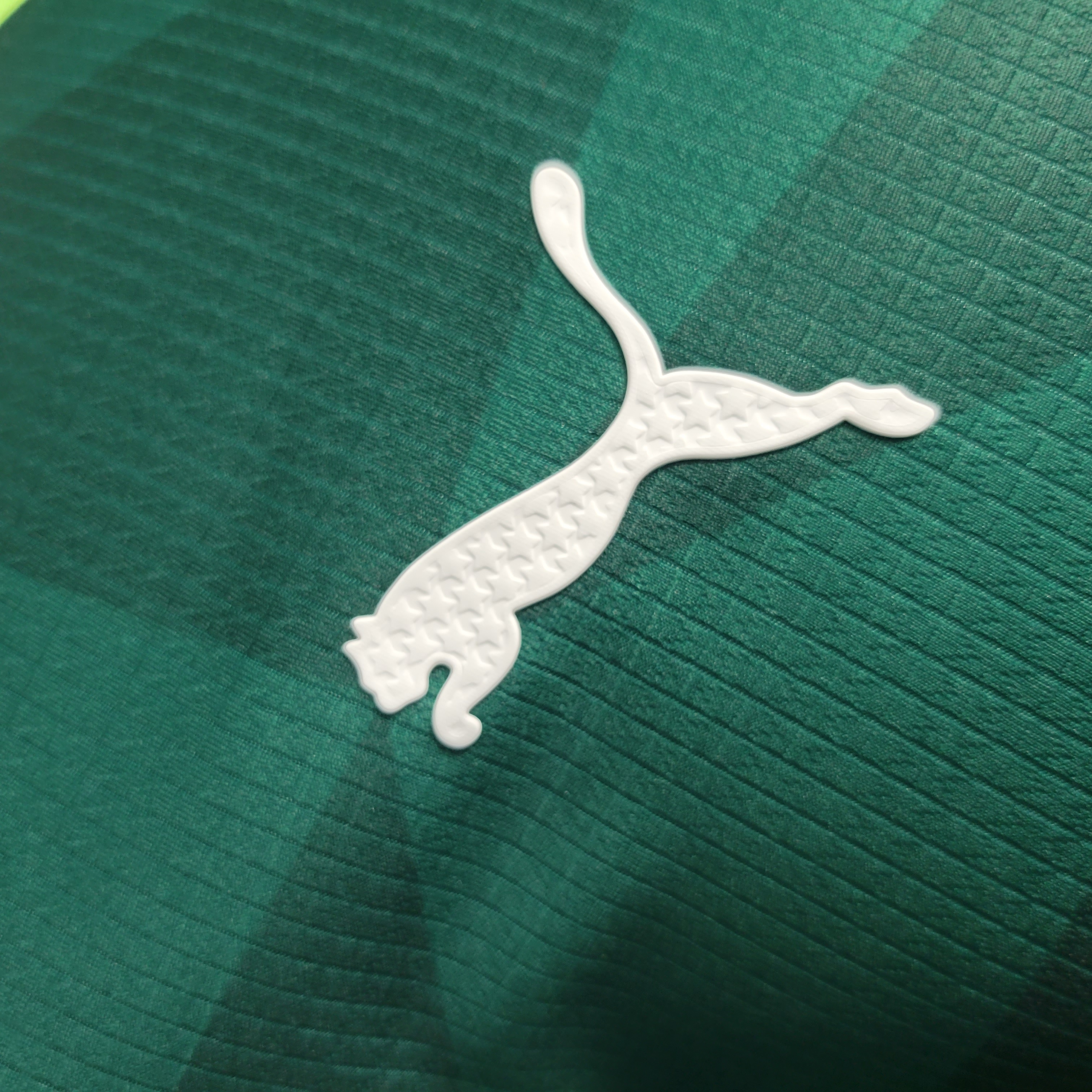 Palmeiras 2023 Home Stadium Jersey - Player Version
