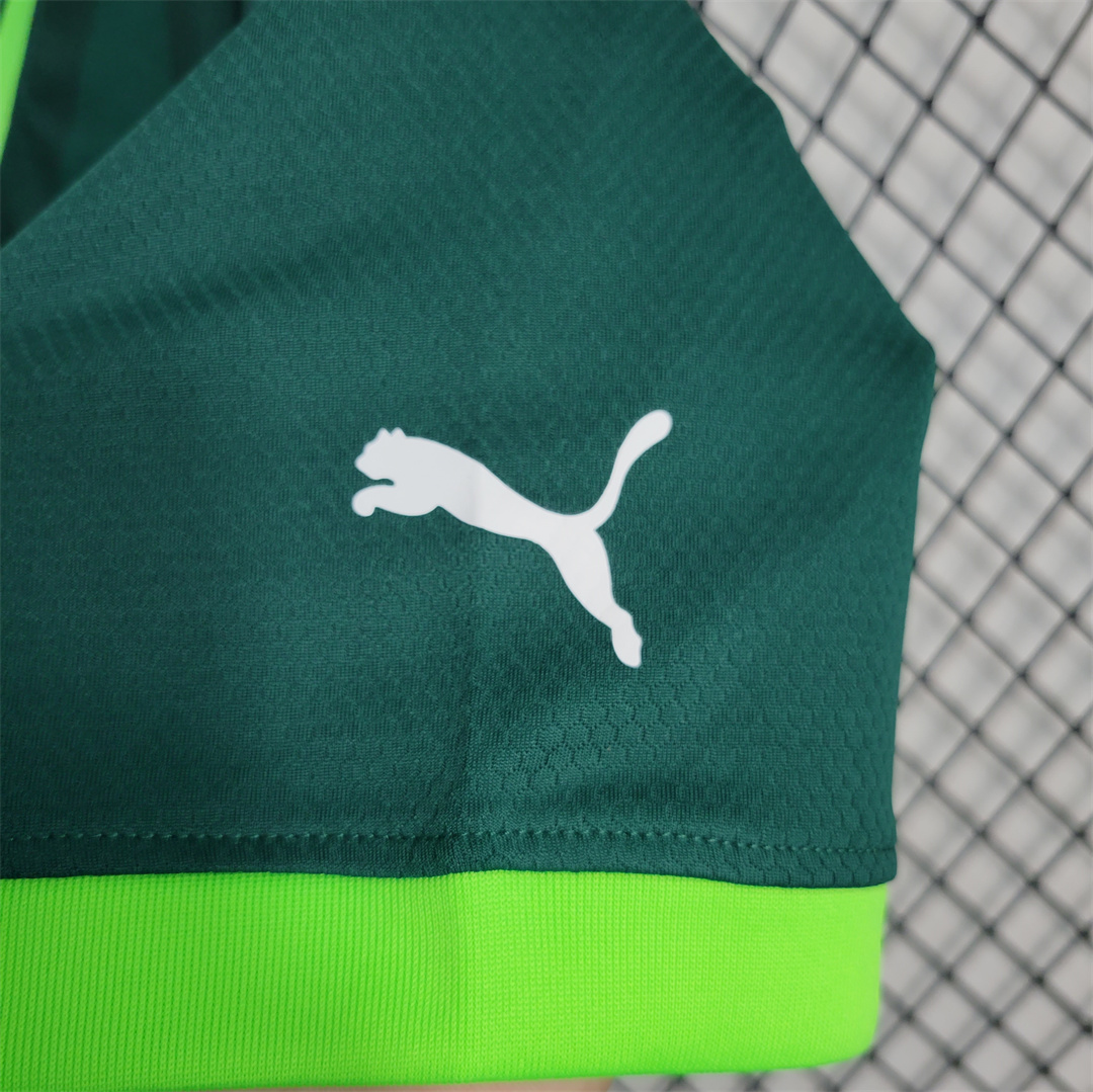 Palmeiras 2023 Home Stadium Jersey - Fans Version