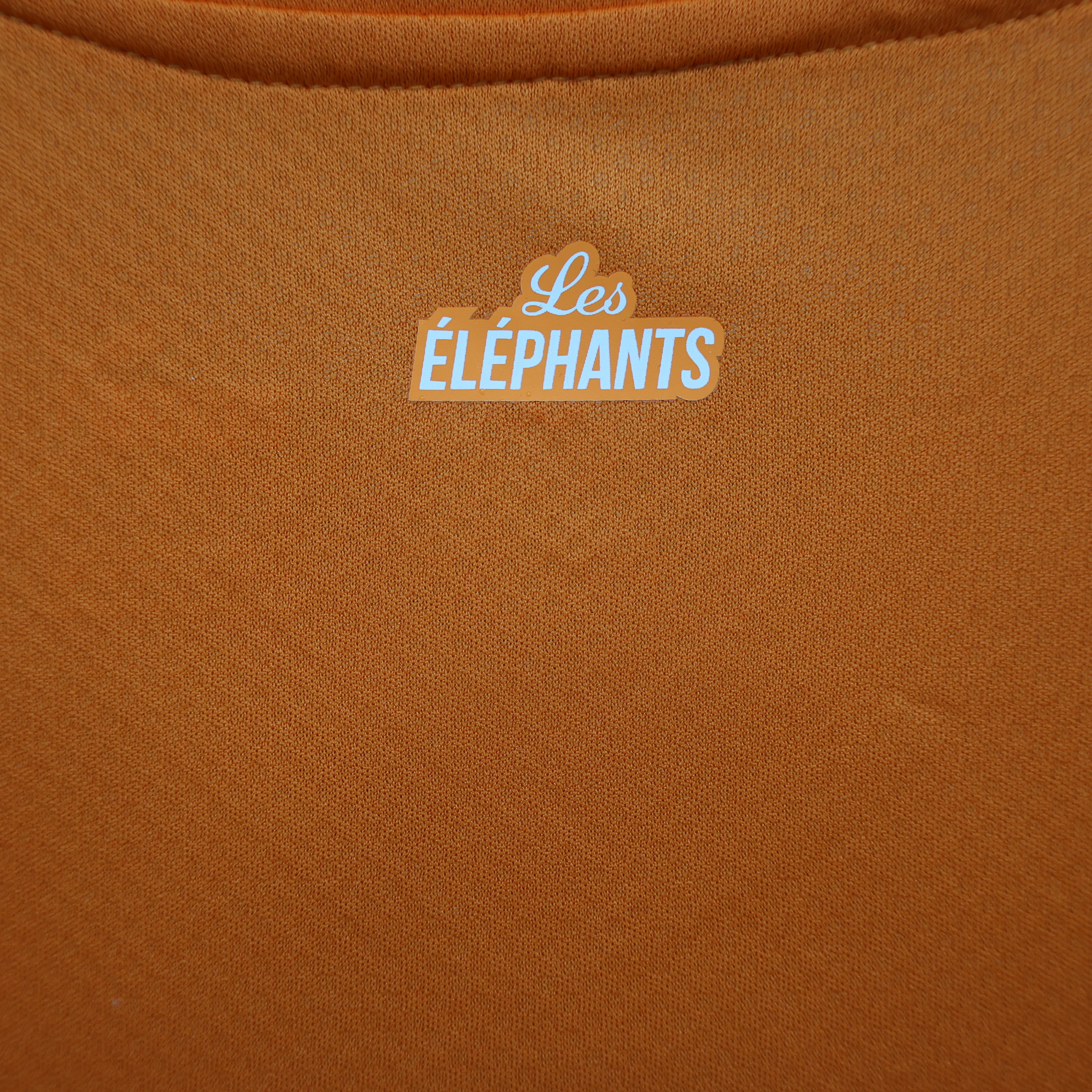 Cote d'Ivoire 22-23 Home Stadium Jersey - Fans Version