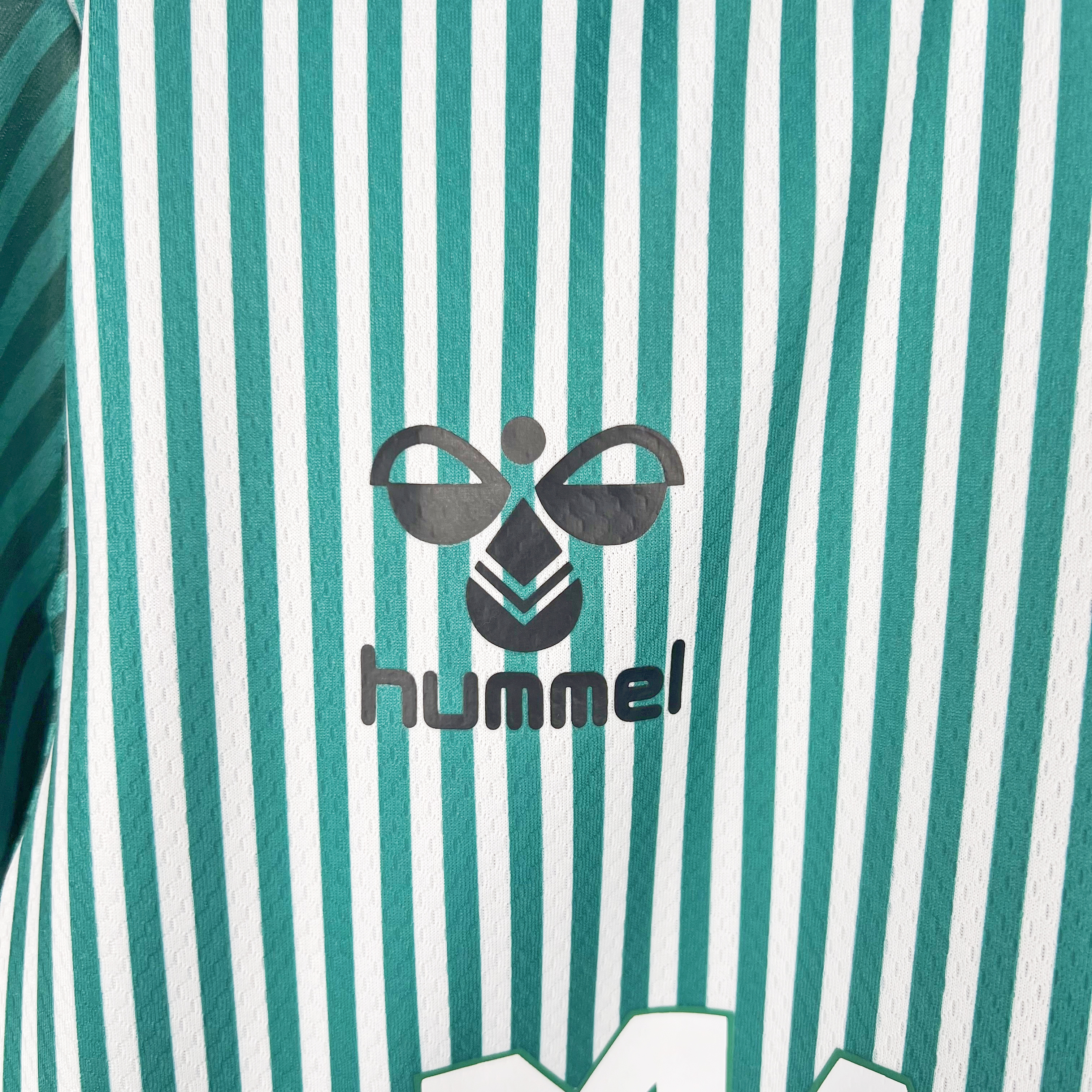 Werder Bremen 23-24 Home Stadium Jersey - Fans Version