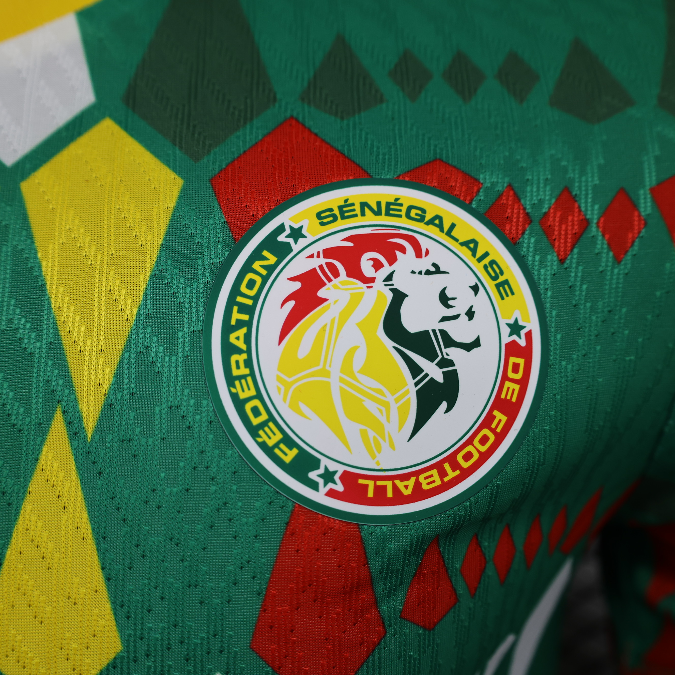 Senegal 23-24 Home Stadium Jersey - Player Version