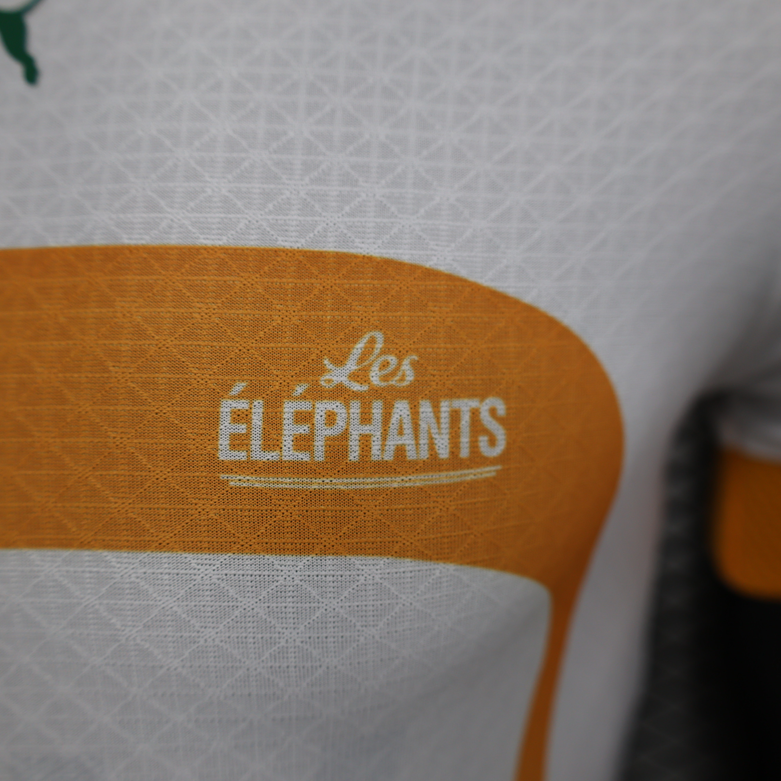 Cote d'Ivoire 22-23 Away Stadium Jersey - Player Version