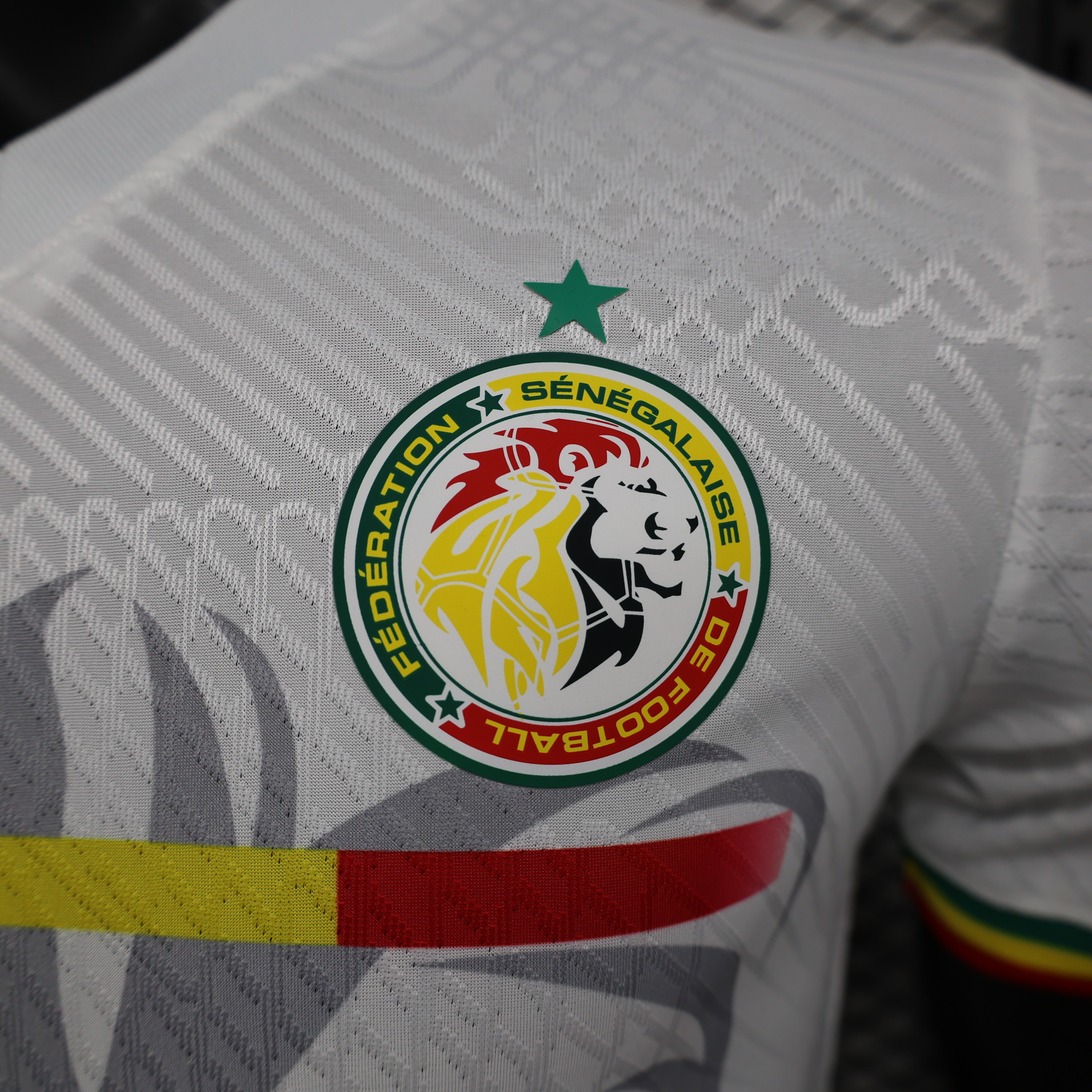 Senegal 23-24 Away Stadium Jersey - Player Version