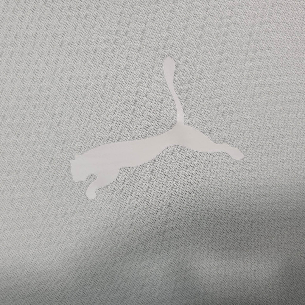 Dortmund 23-24 Grey Training Jersey - Fans Version