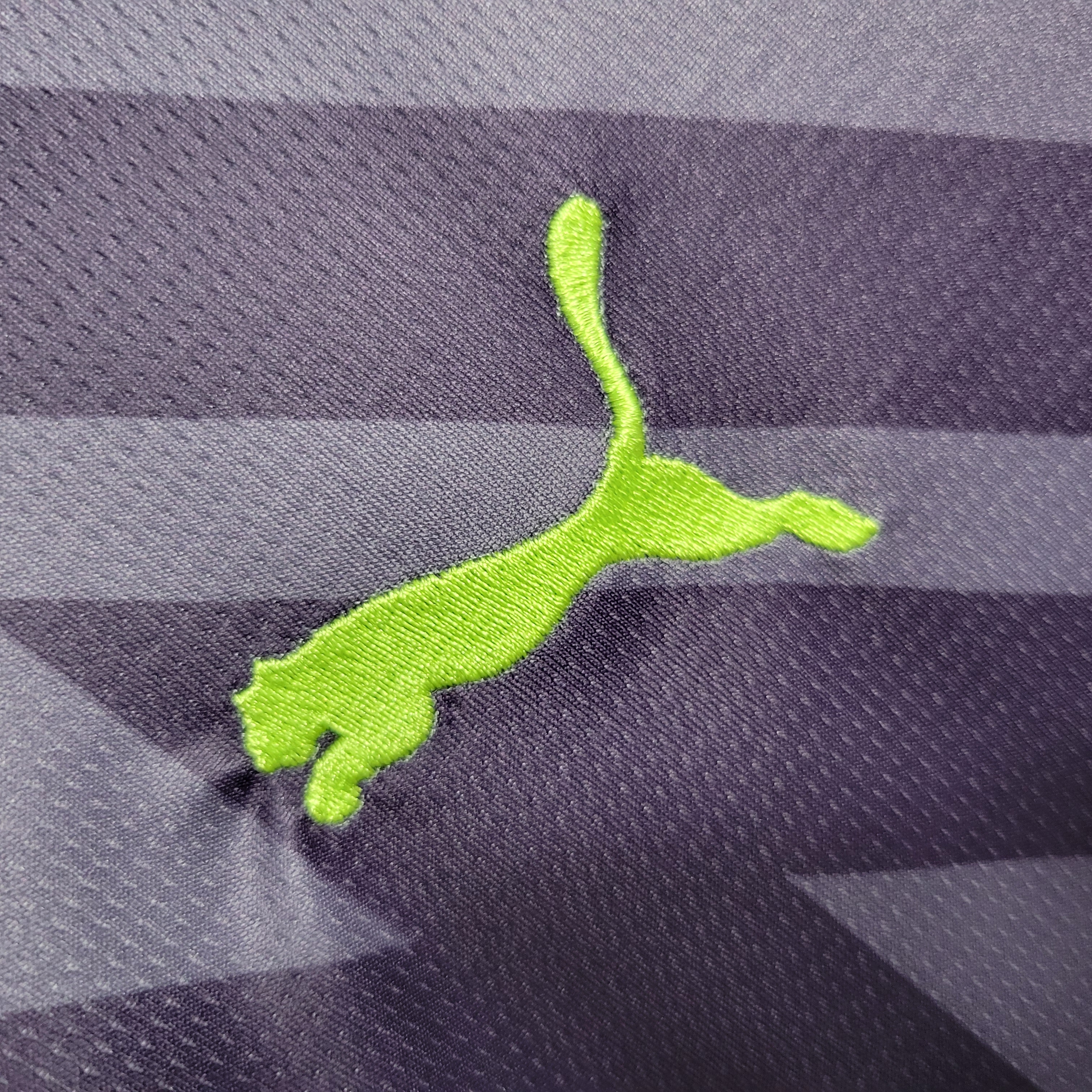 23-24 Manchester City Purple Goal Keeper Fans Jersey